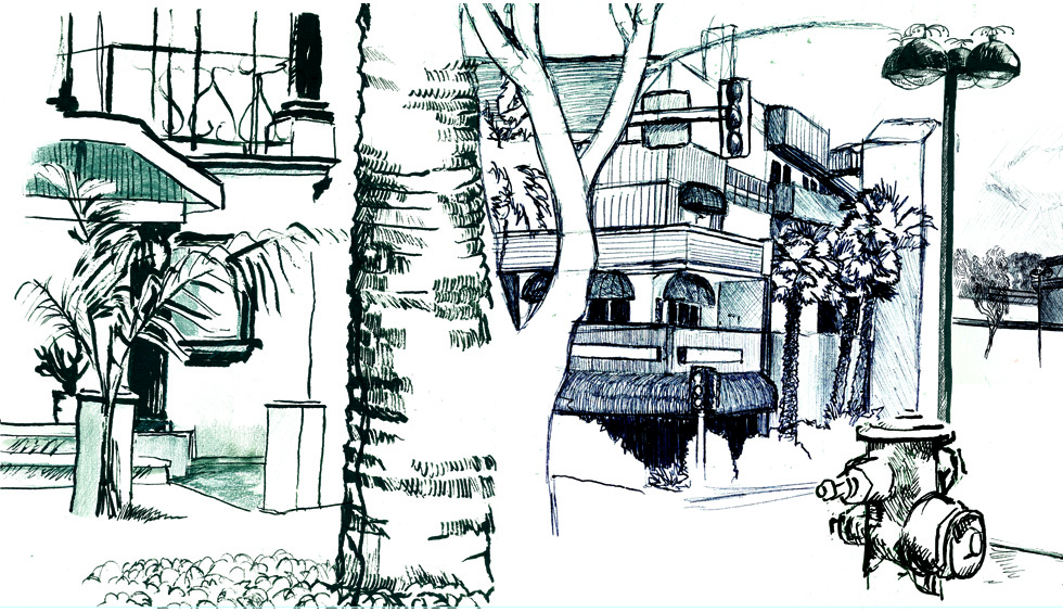 A composite of various observation based drawings of around Long Beach