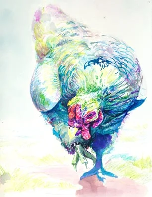 Matthew Hughes Chicken Test Middle.jpg
