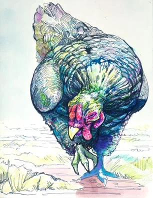 Matthew Hughes Chicken Test Final.jpg