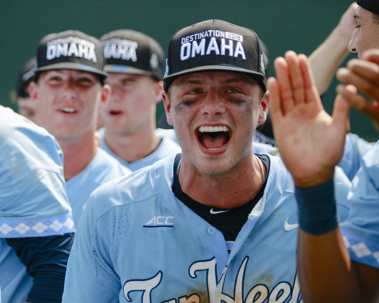 Michael Busch celebrates Carolina Baseball’s win over Stetson to send UNC back to Omaha.