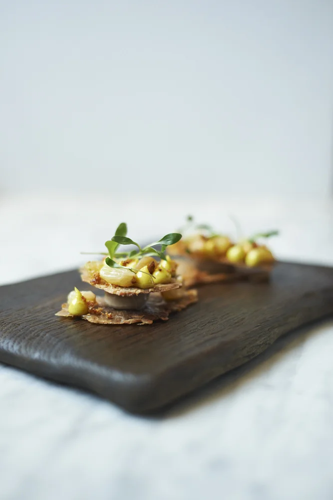 1409_26_TownHallHotel_Typing_B_01.jpg