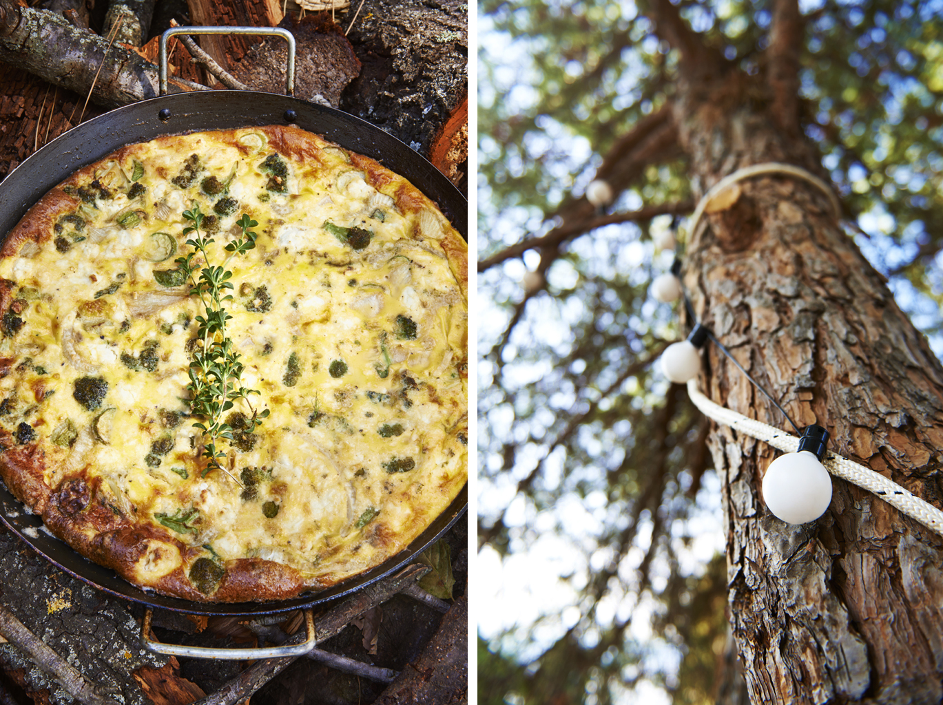Courgette Frittata