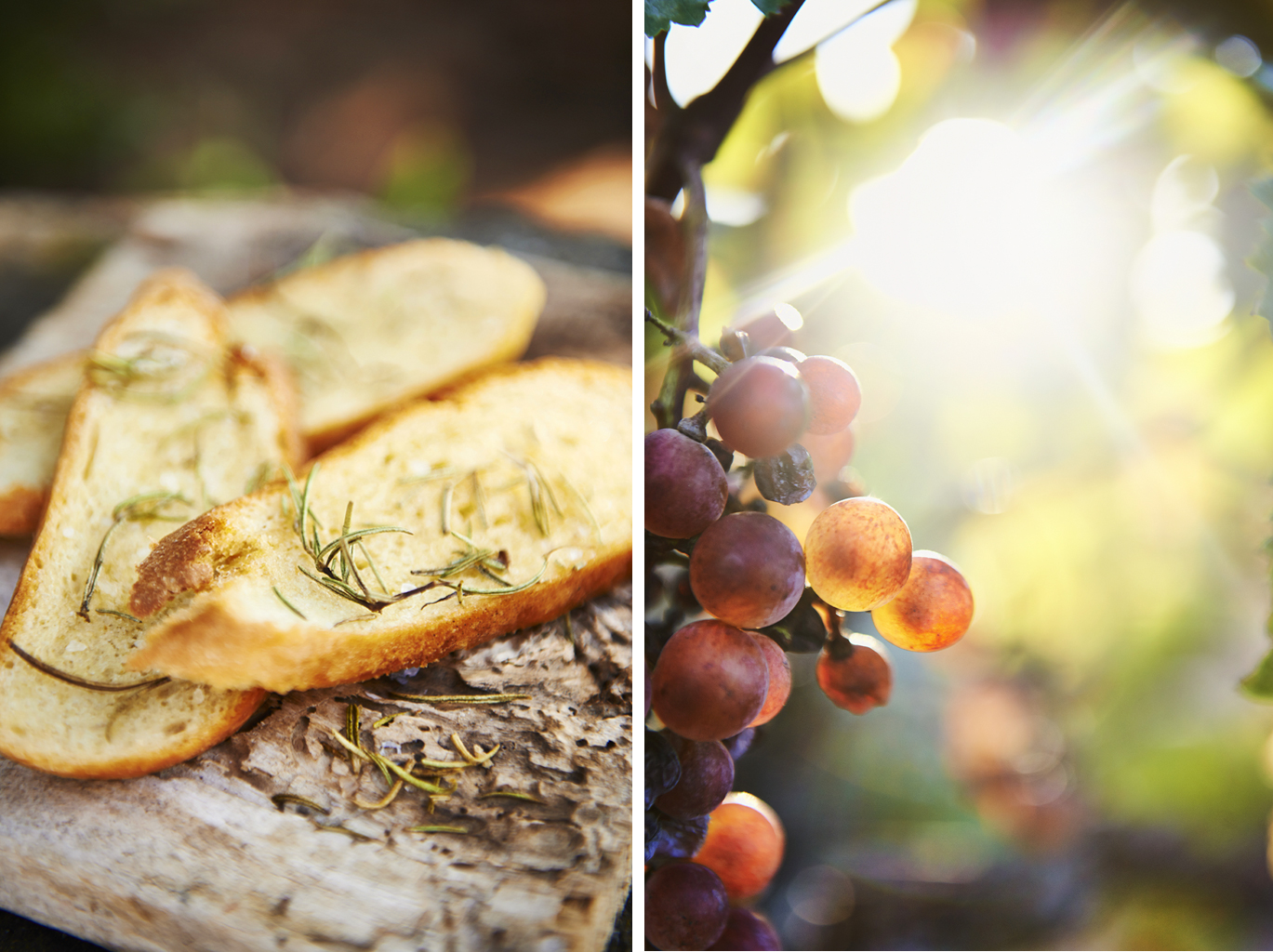 Crostini and grapes in the island's vineyard.