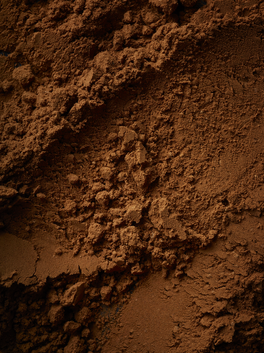 Cocoa