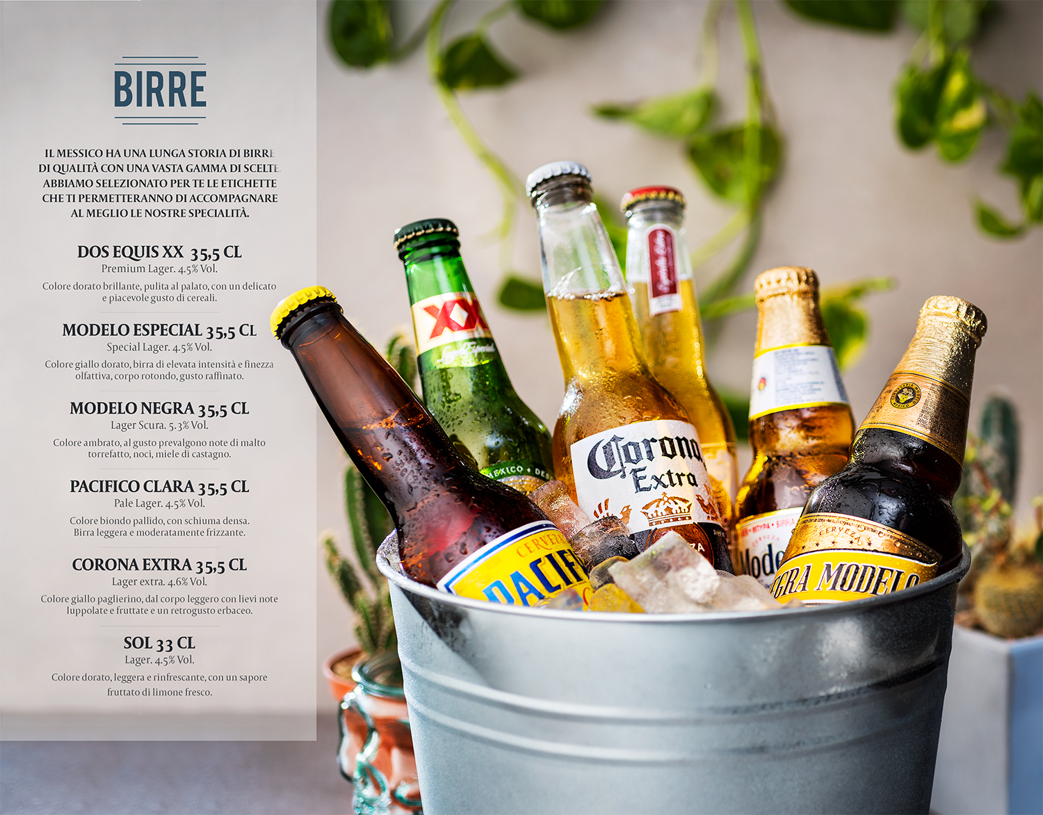 171107_Calavera_BIRRE_Menu.jpg