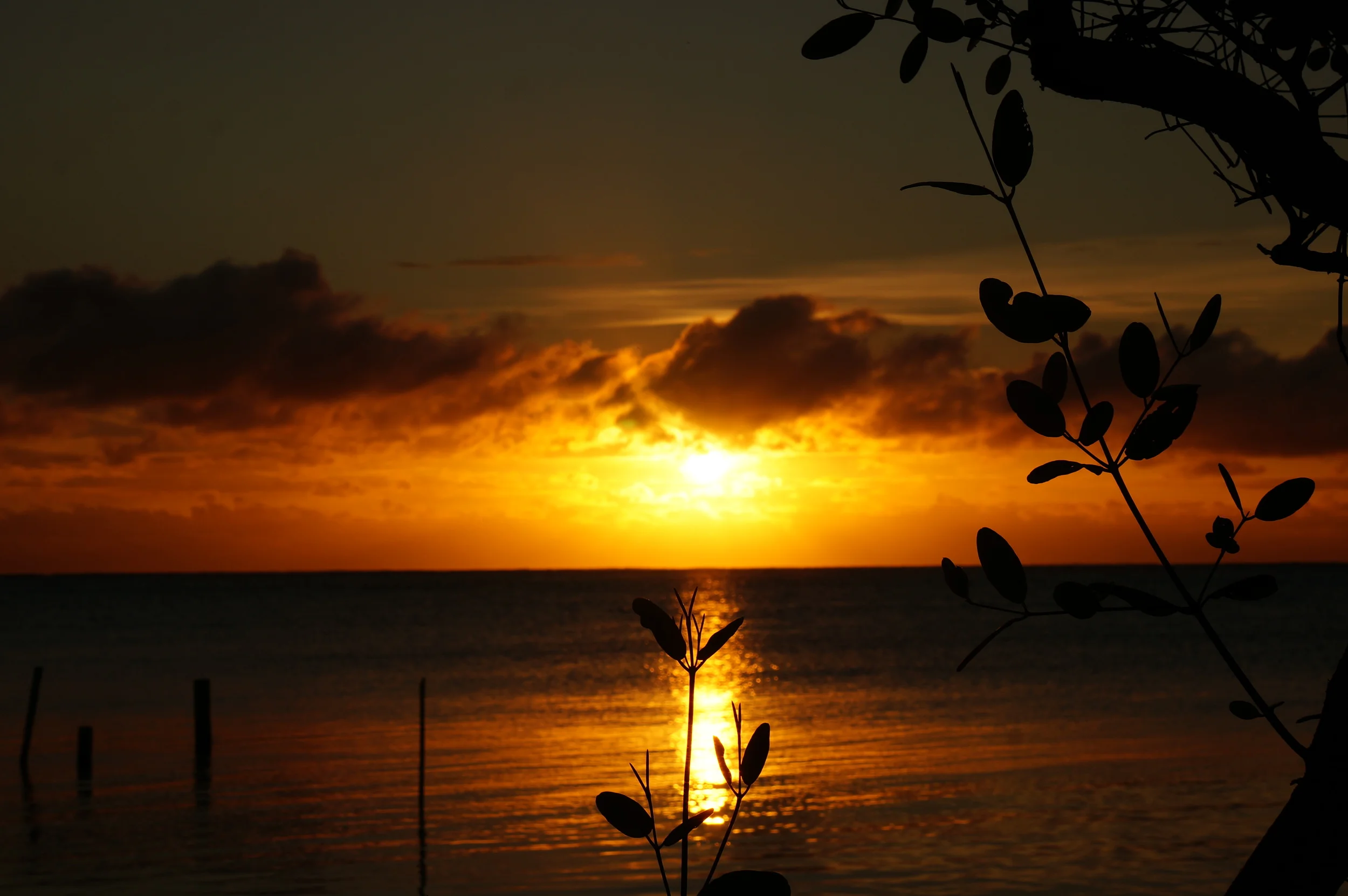 HERE COMES THE SUN