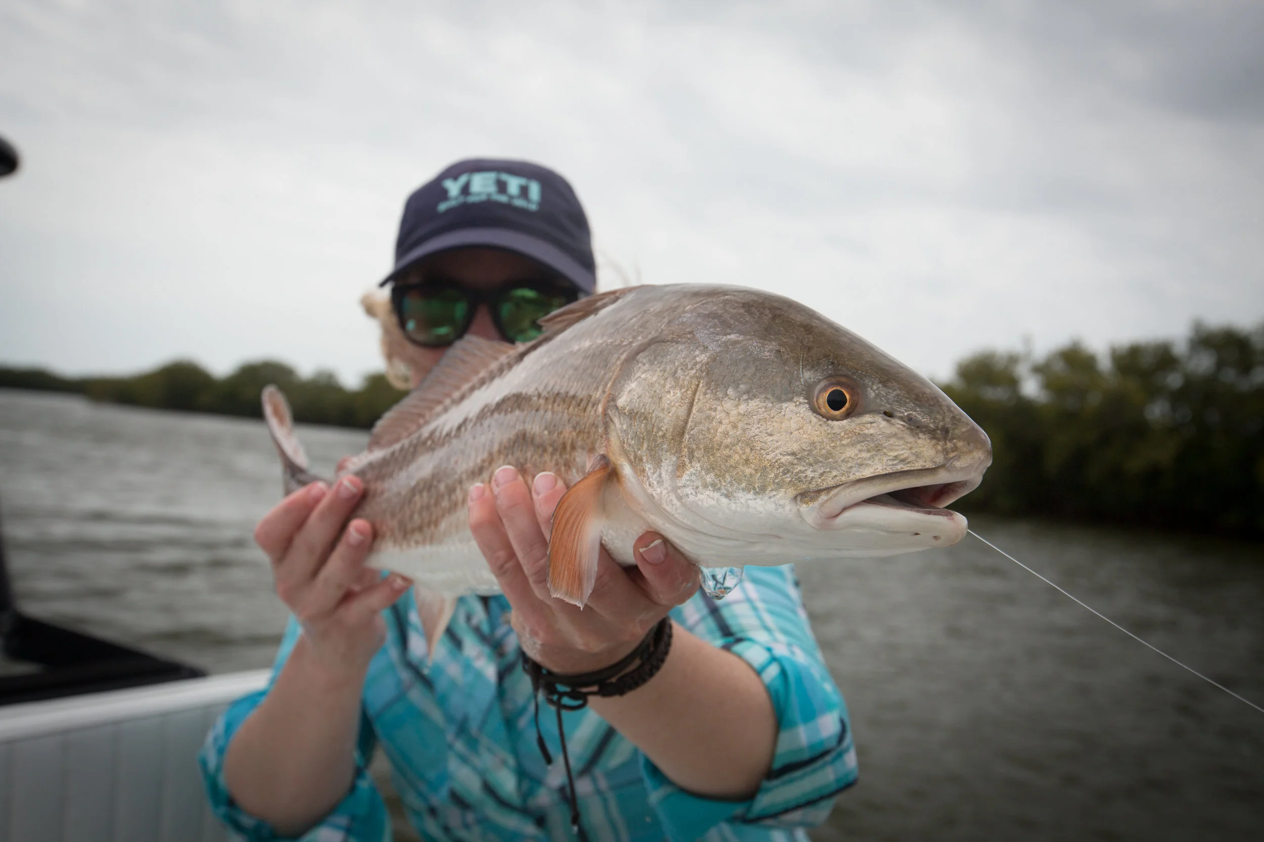 Light tackle Redfish in Crystal River, FL.