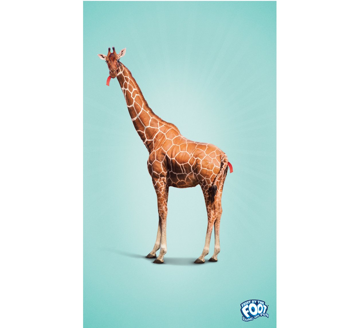 Giraffe2.jpg