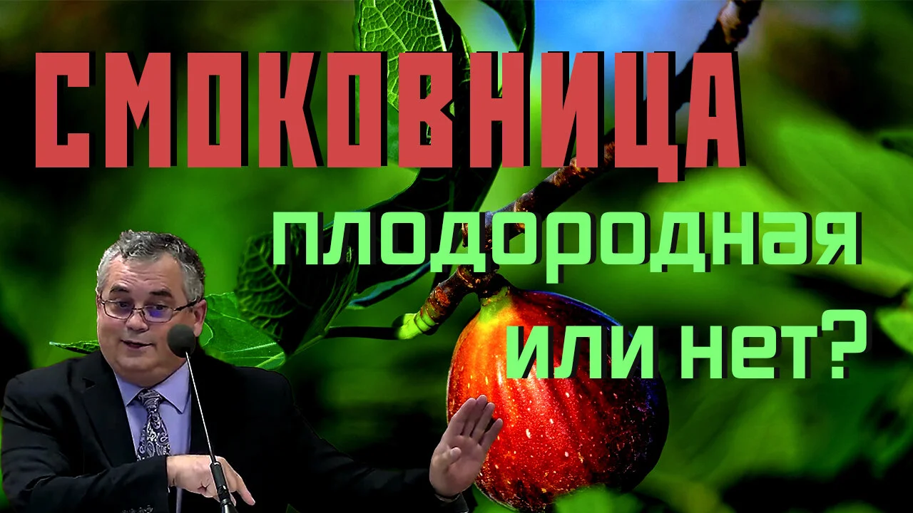 Смоковница - плодородная или нет?