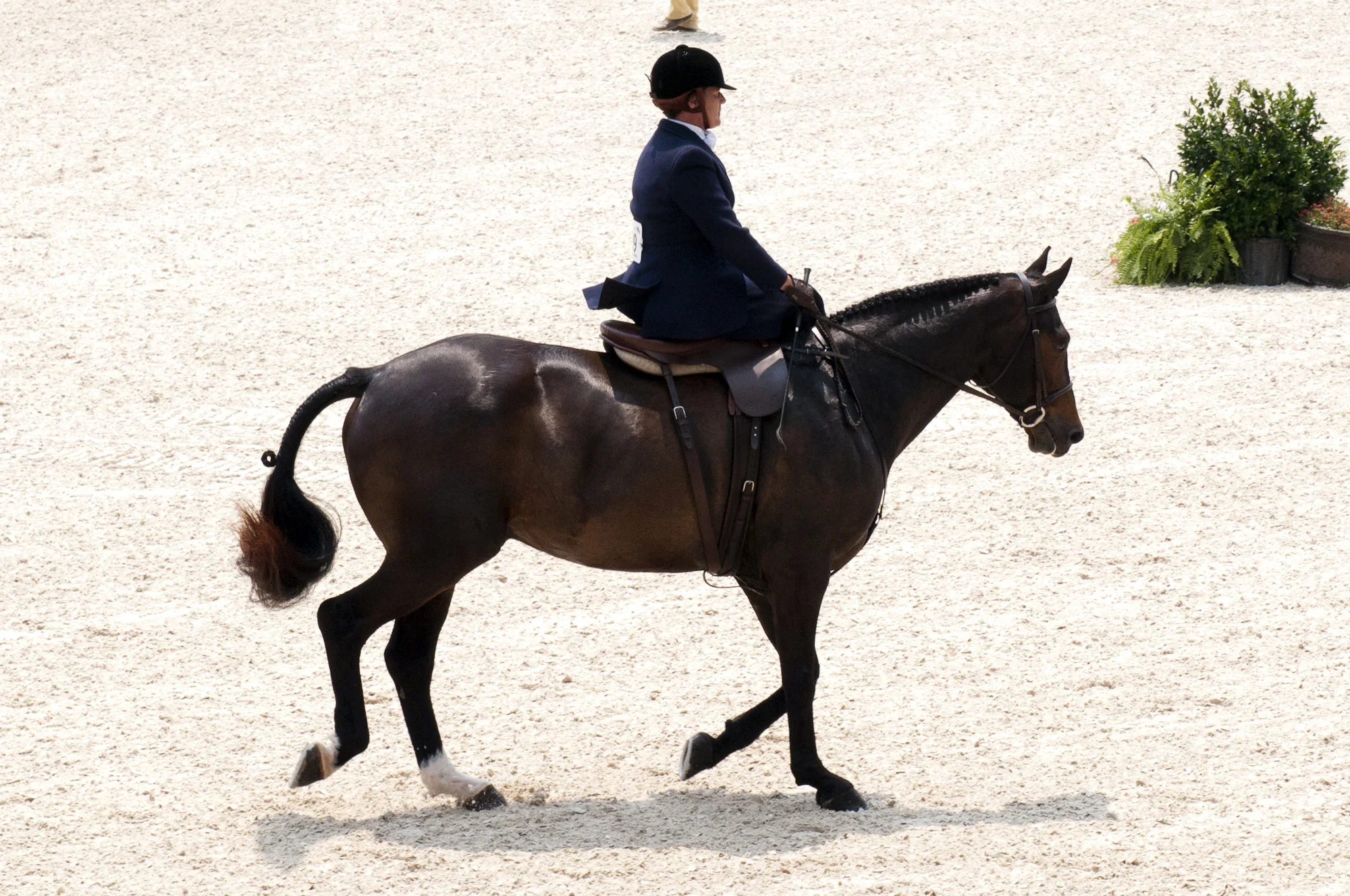 side-saddle-individual.jpg