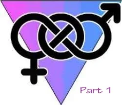 I’m A Bisexual Part 1 – “Why I’m Doing This”