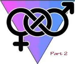 I’m a Bisexual Part 2 - “Self Evaluation”