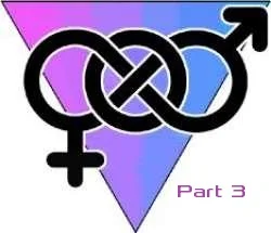 I’m a Bisexual Part 3 - “Allies & Adversaries”