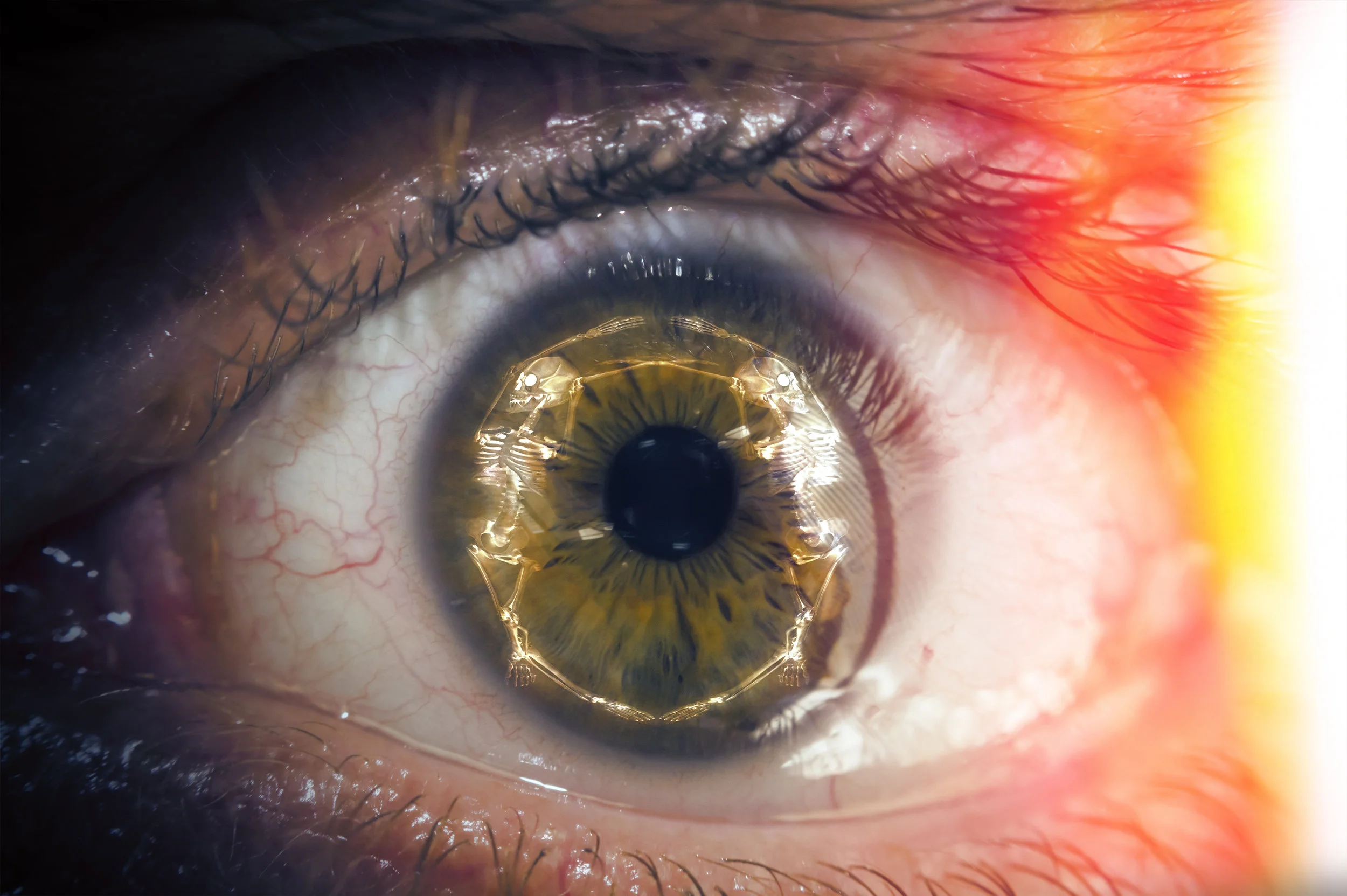 My Eyes, The Goggles, They Do Nothing!