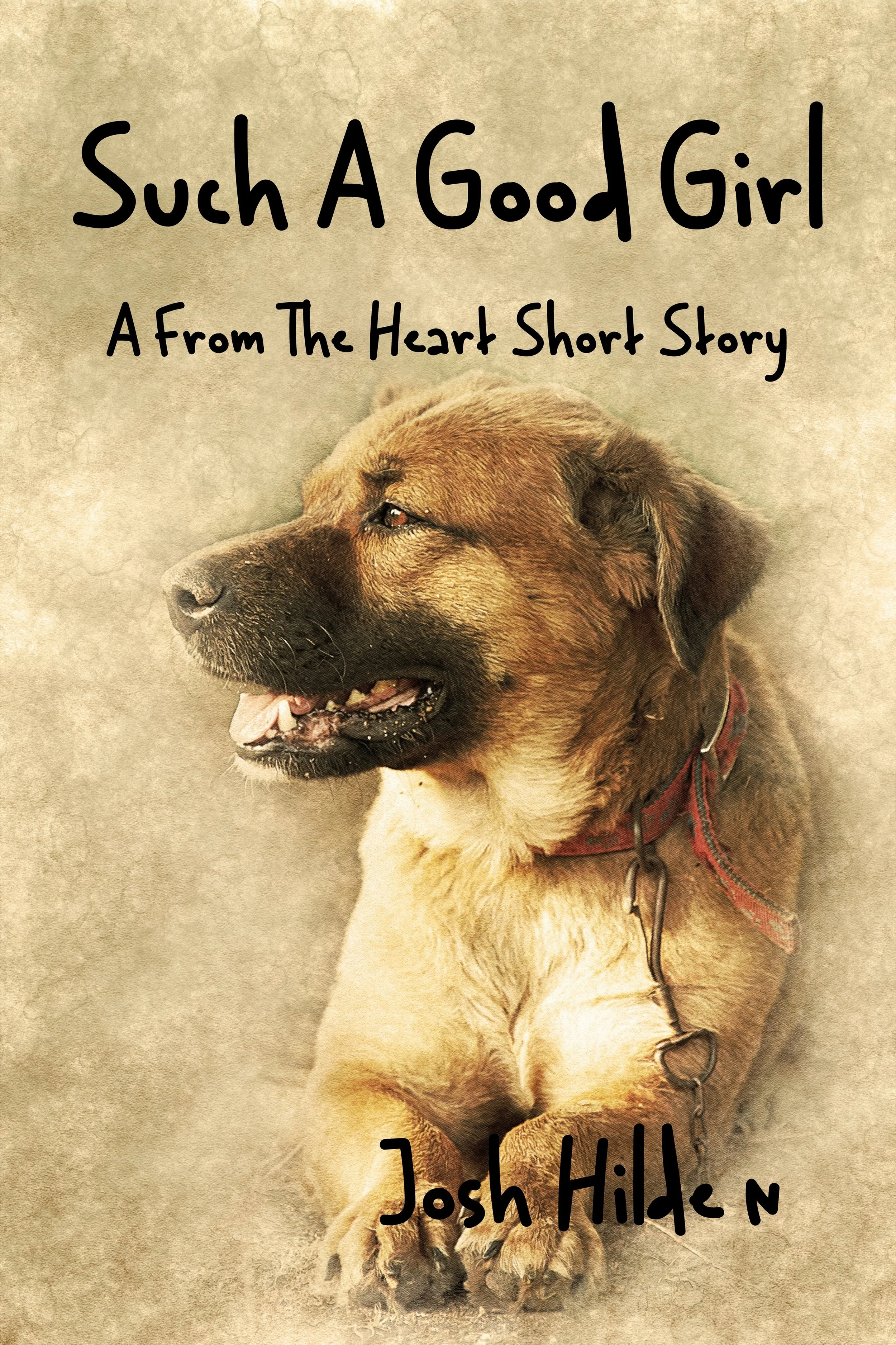 SS - Such A Good Girl - EB Cover.jpg