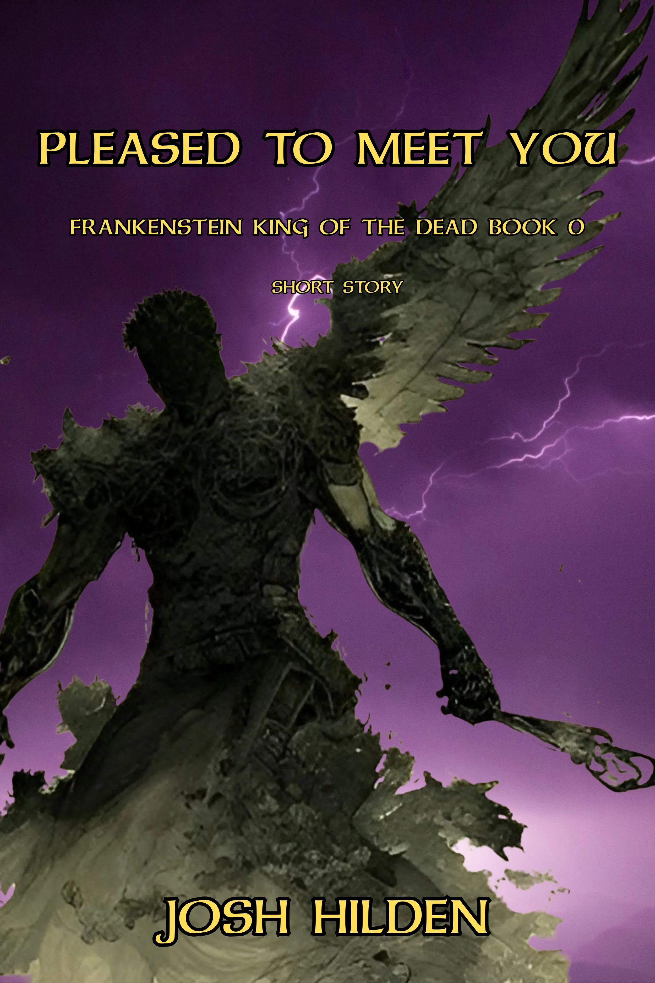 FKOTD Book 0 - Cover.jpg