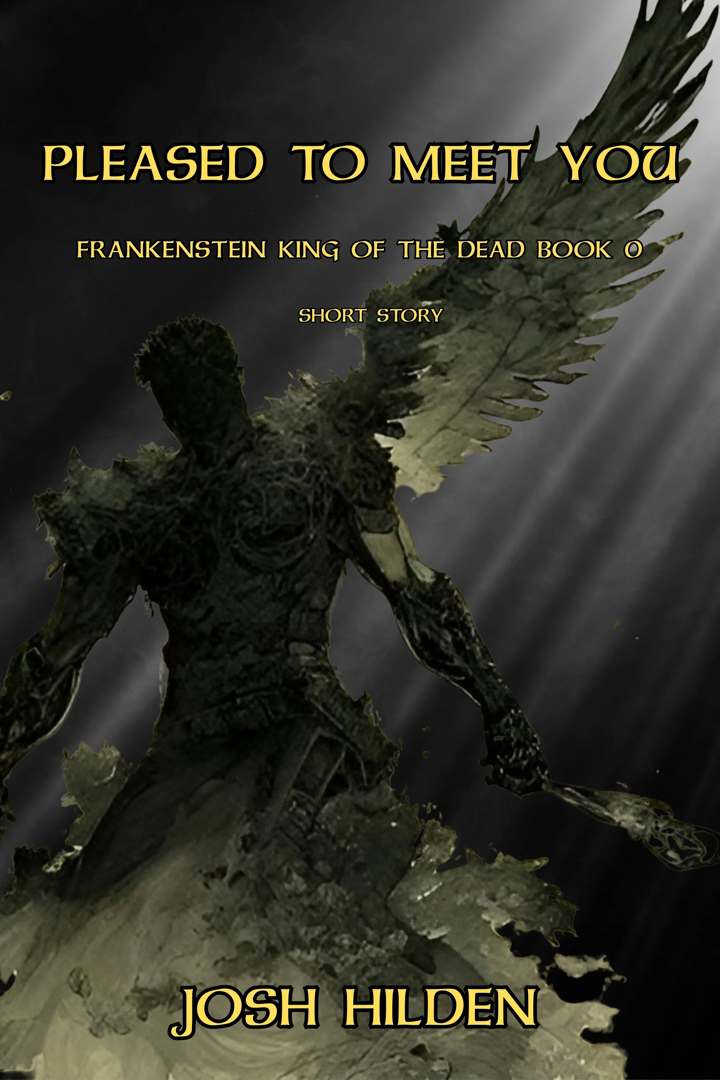 FKOTD Book 0 Cover (Small).jpg