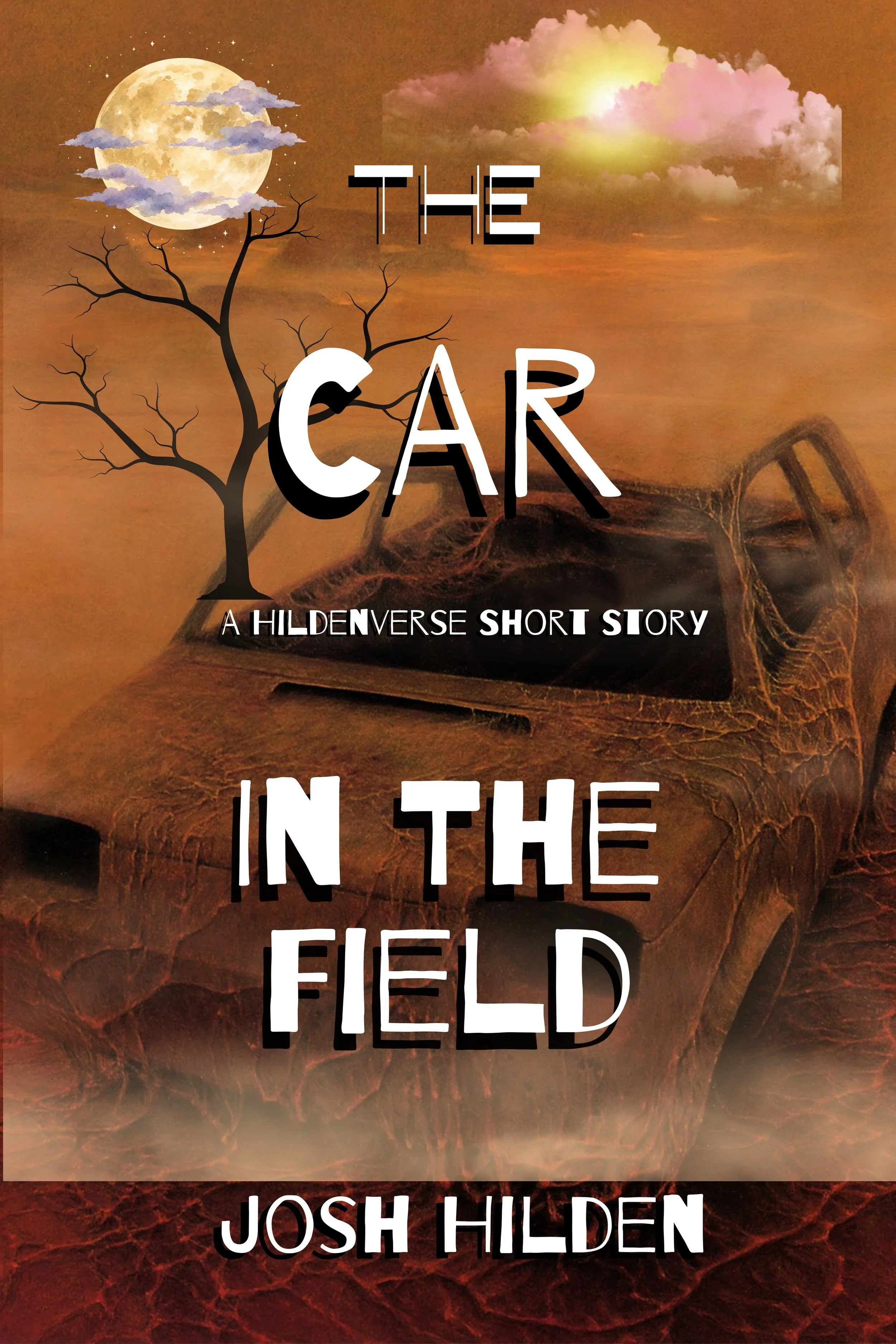 SS - The Car In The Field.jpg