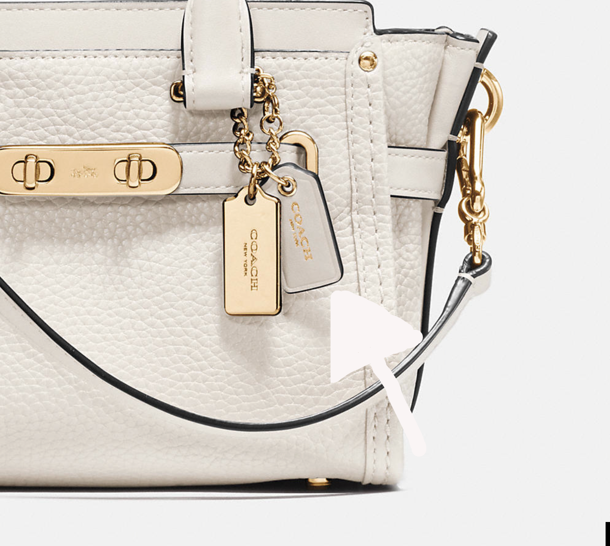 Image via COACH.com "Swagger" or Hangtags
