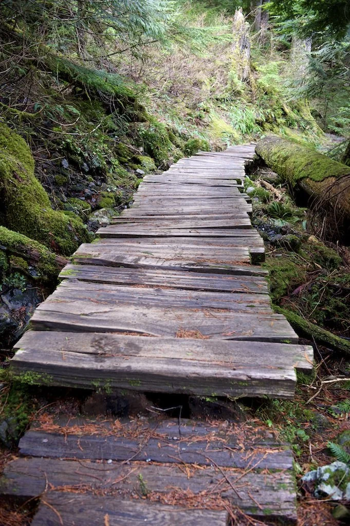 Came to an interesting boardwalk, the boards were really jagged and fun to walk over.