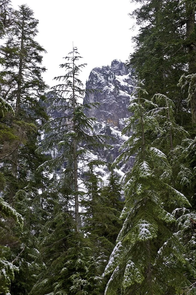 Beautiful view of the mountain through the forest.