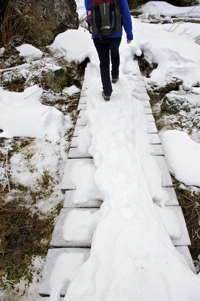 Some layered snow on the boardwalk, made for a fun hike!