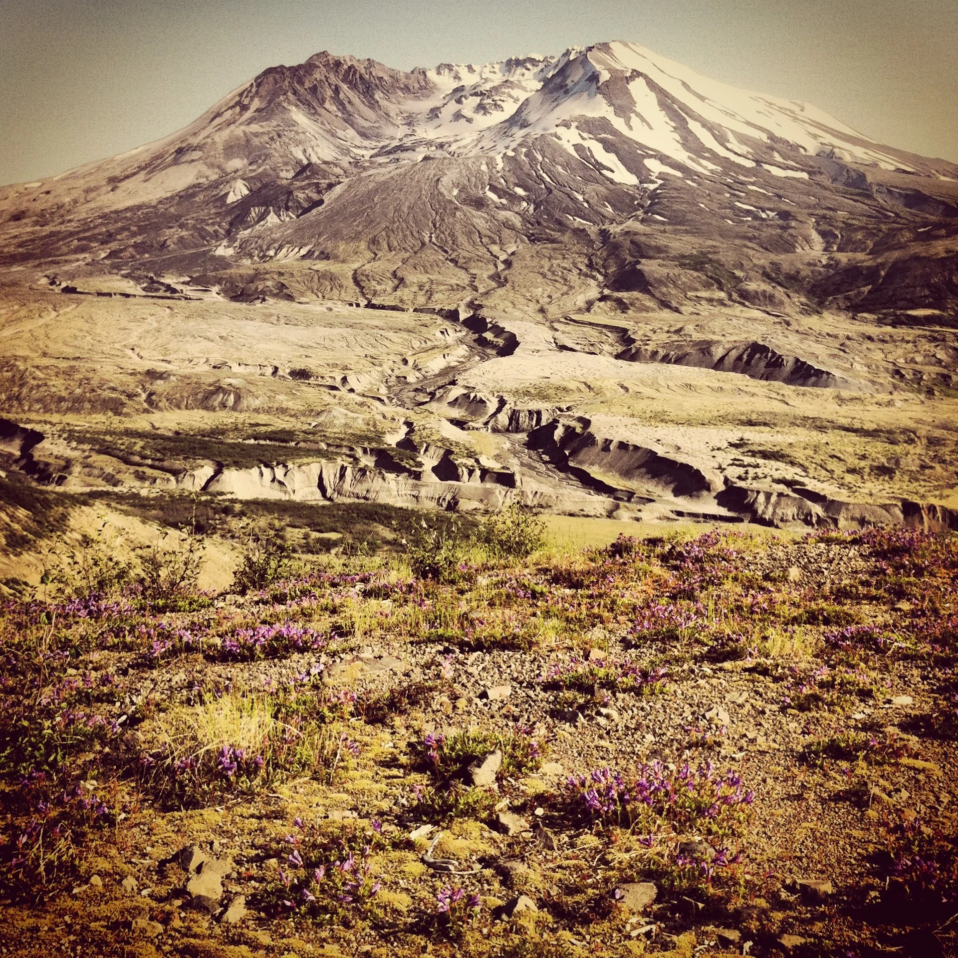 Mt. St. Helens
