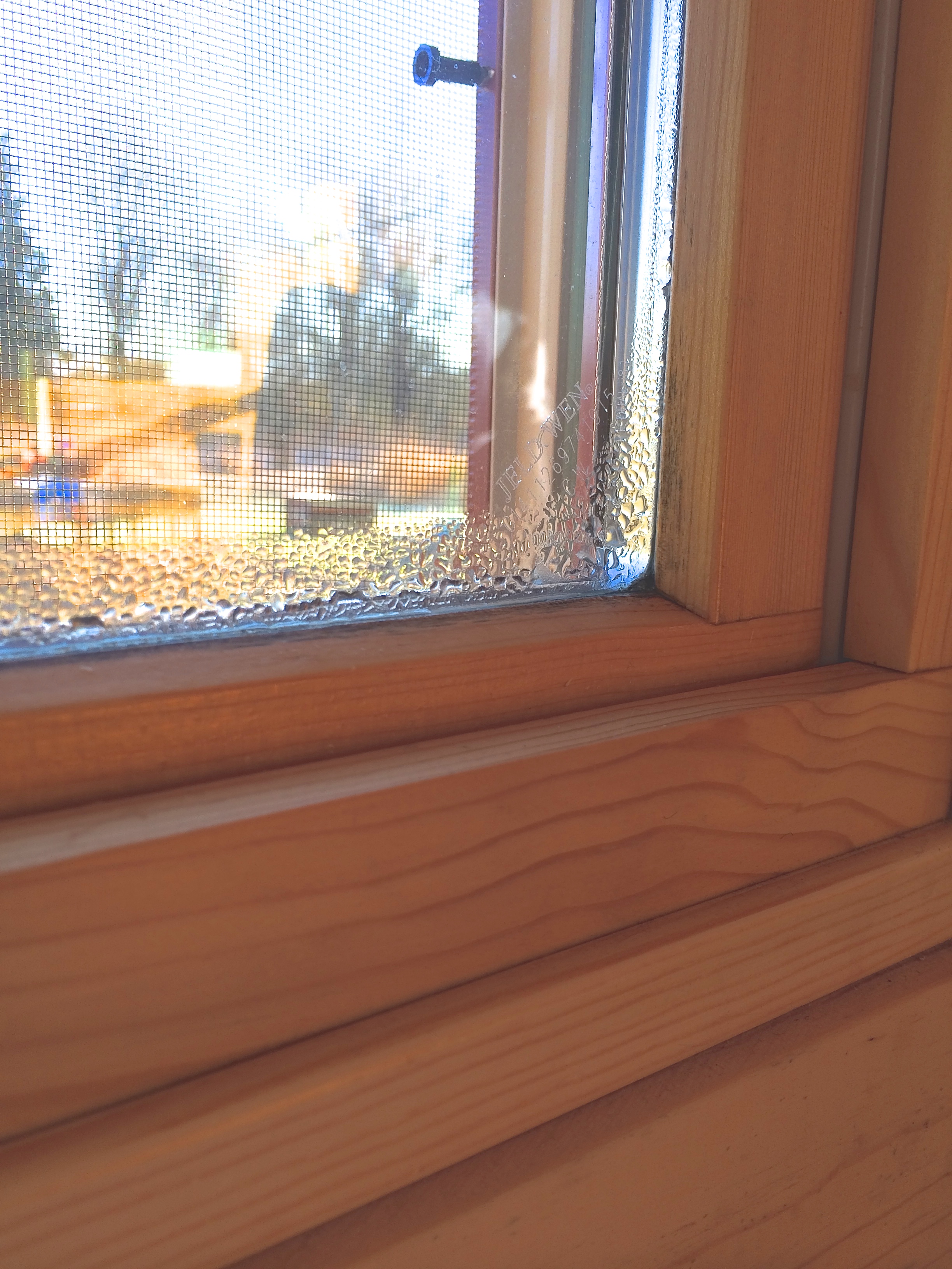 My window with some moisture on the ledge. You can see some black on the wood, right next to the glass. The awning windows get it the worst, since they open out to the moisture outside.