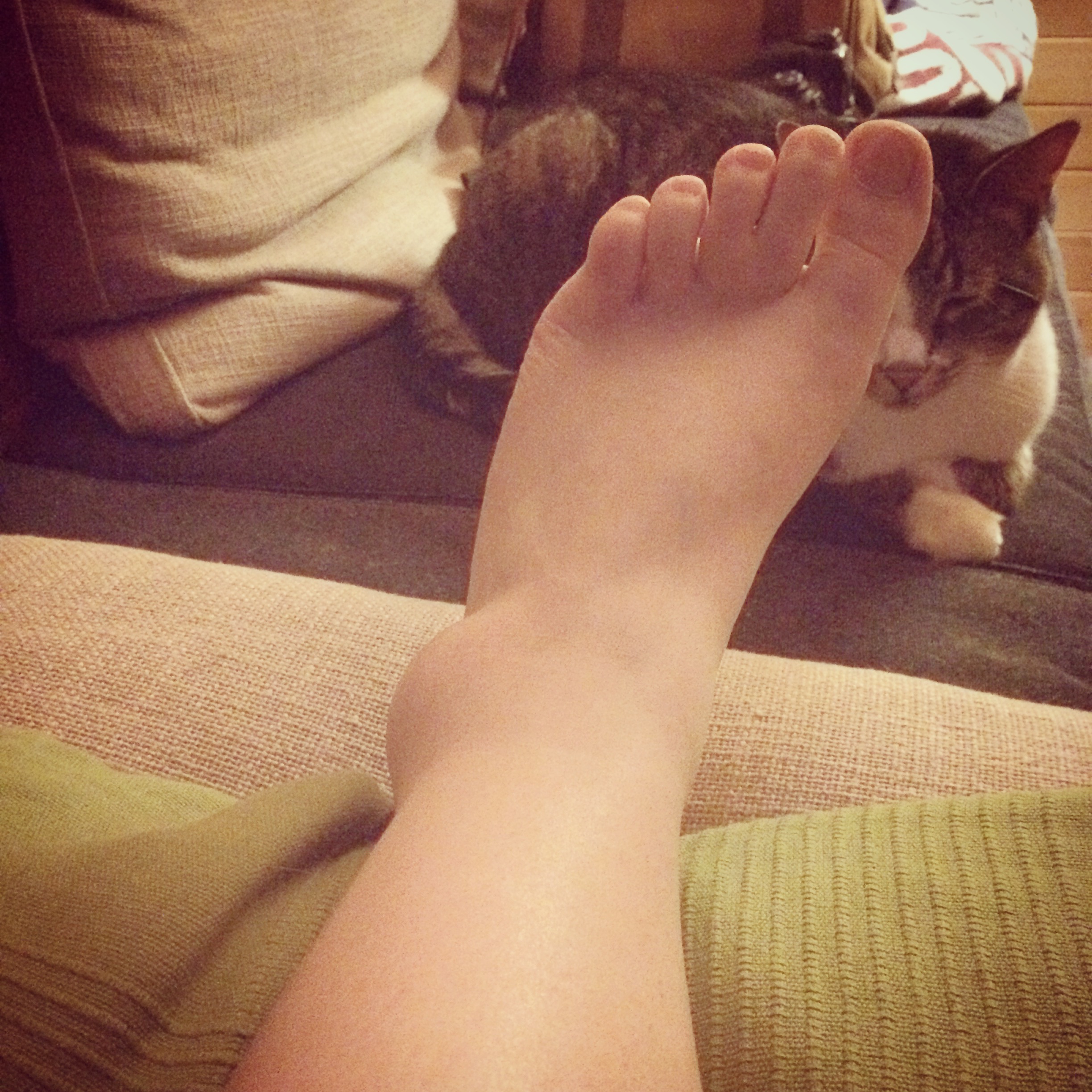 I sprained my ankle pretty good, a couple months ago. Kids, don't run around a mole infested yard, while chasing a blind dog, wearing untied hiking boots with no socks on... why didn't my mother warn me about this before. It's doing much better, and luckily no breaks!