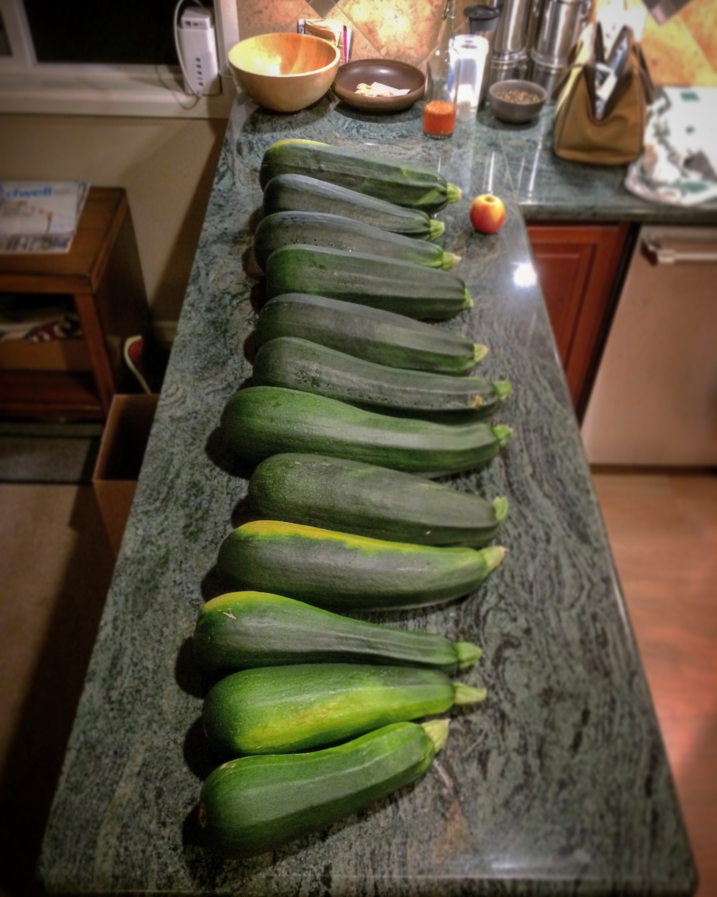 SO many Zucchini we didn't know what to do with them. We ended up purchasing a Spiralizer to make these yummy Zucchini into noodles!