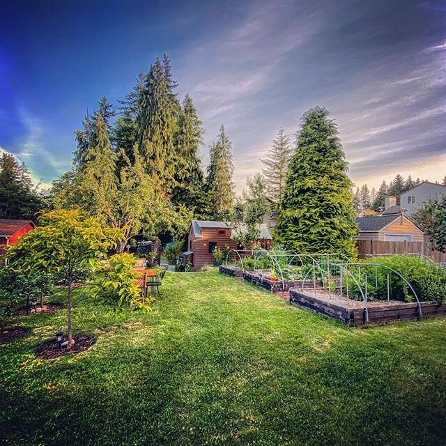 Oh those summer nights!!!! And yes, I know it&rsquo;s not technically summer yet! Just soaking it all in!!!! #alliseeisgreen #greengreengreen #stillspring #summeriscoming #mybackyard #thetinytackhouse #tinytackhouse #airbnb #airbnbhost #seattle @tiny