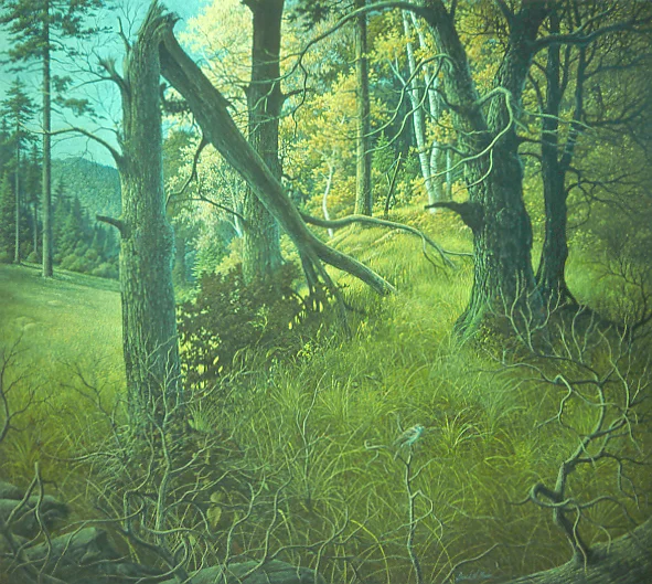 Tanglewood