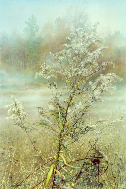 Meadow Whisper