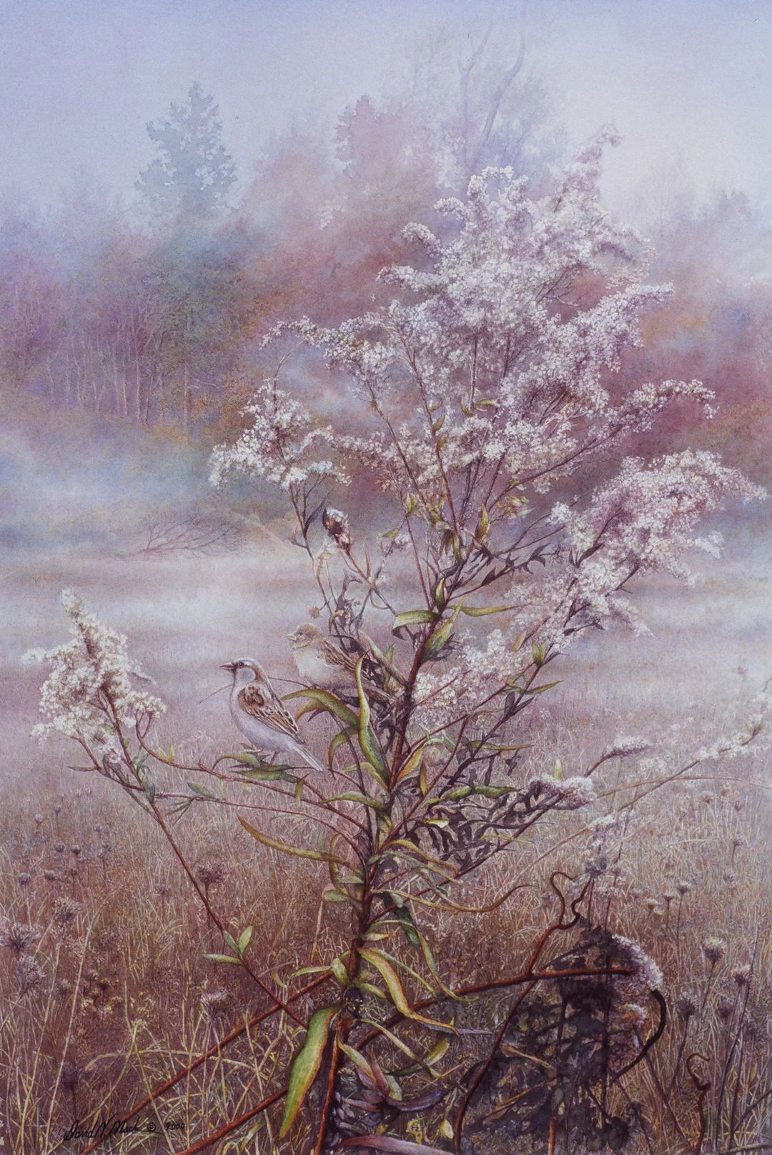 Meadow Susurrus