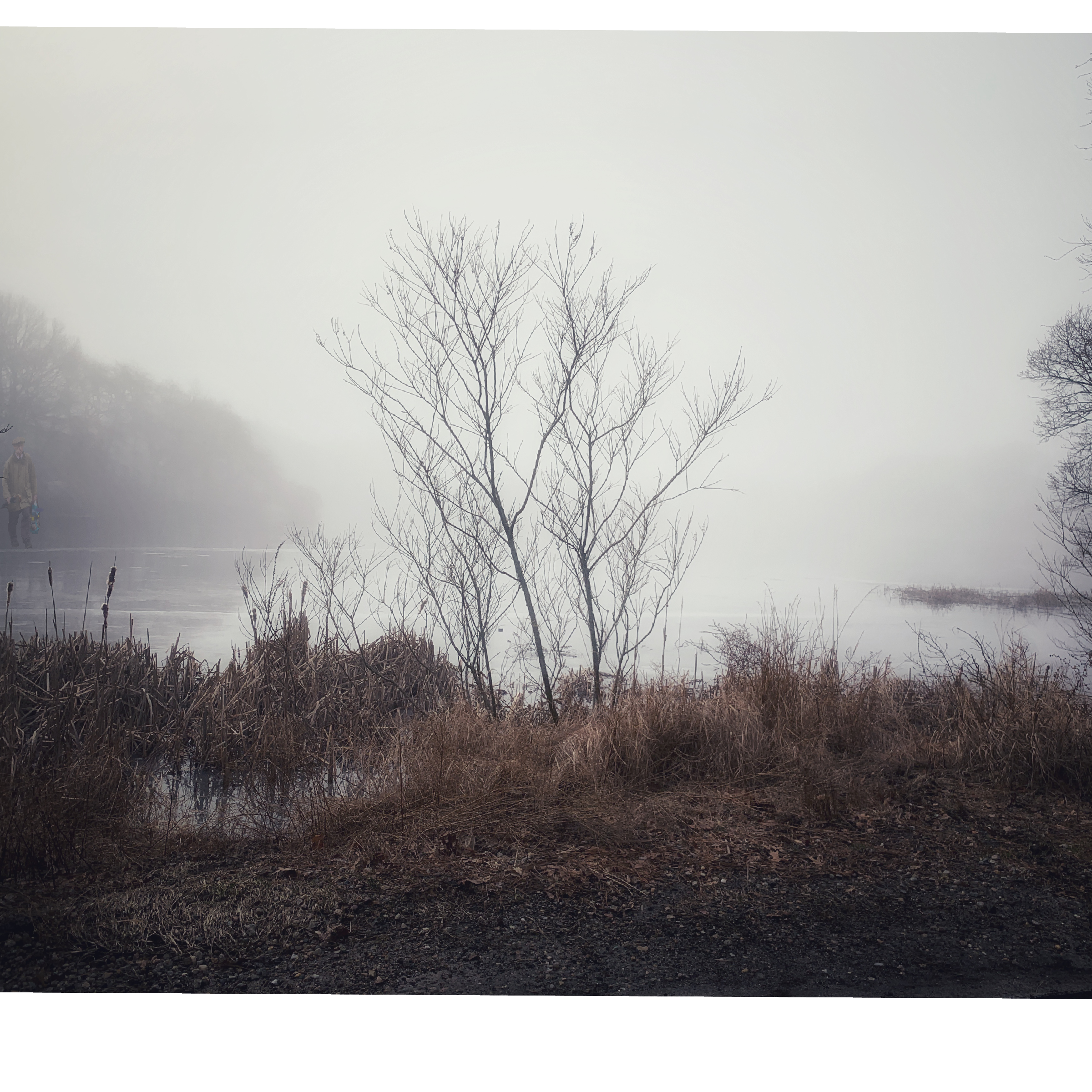 IMG_0776.png