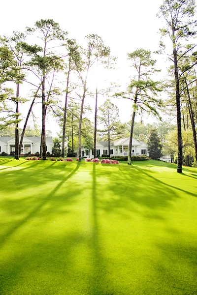 Augusta National tree shadows