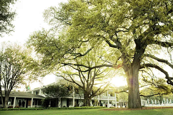 Augusta National oak tree