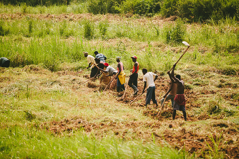 Photos of Rwanda