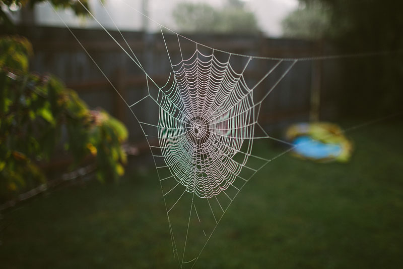 Seattle family photography