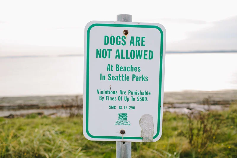Seattle engagement photography at Discovery Park