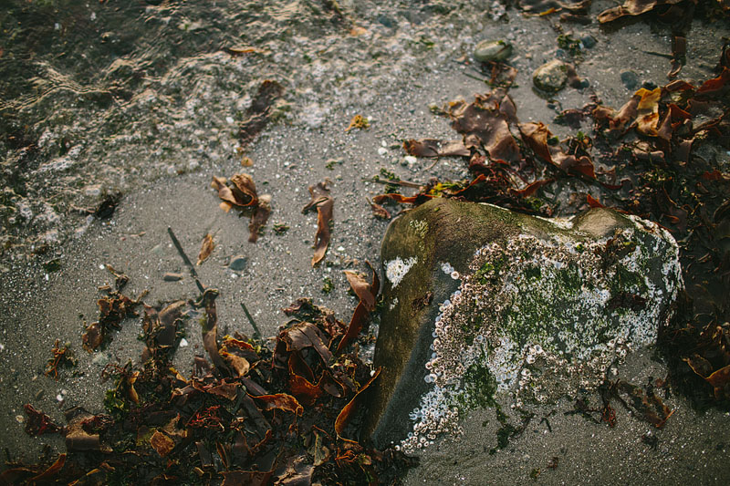 Seattle engagement photography at Discovery Park