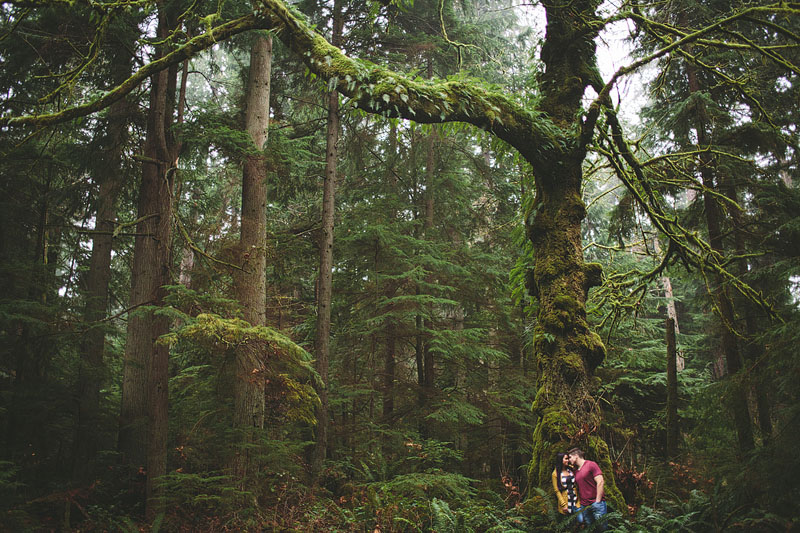 Point Defiance engagement photography