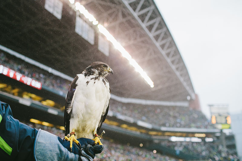 Seattle Seahawks sports photography