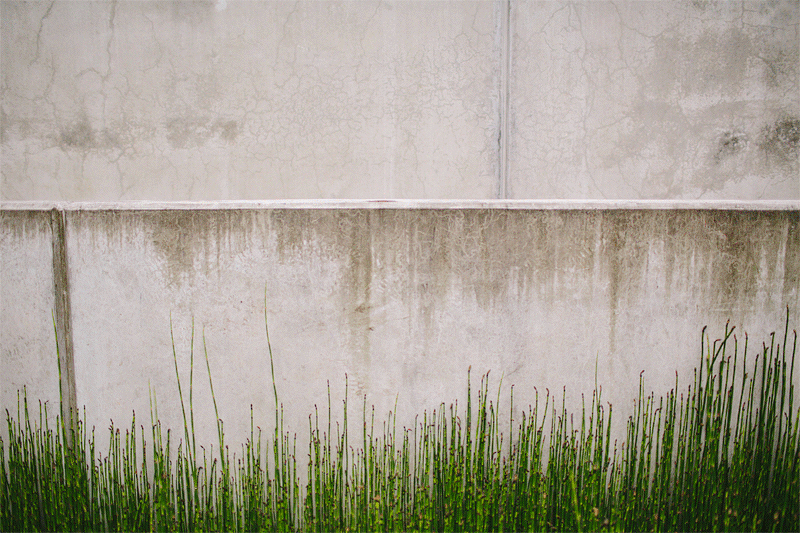 Seattle-wedding-photography-055.gif