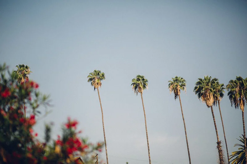 Los Angeles Dream Center - Mike Fiechtner Photography || www.mik