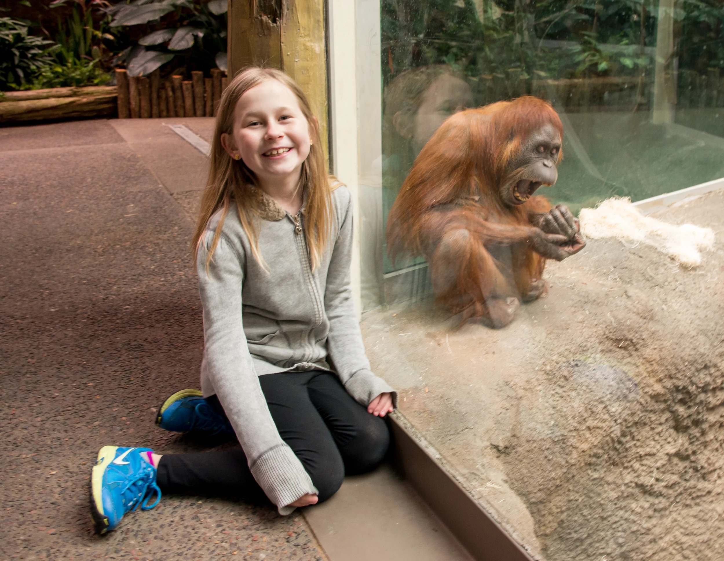Hanging with an orangutan