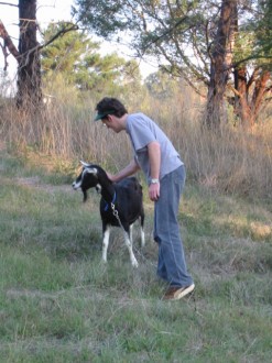 "This is not a ride on lawn mower"