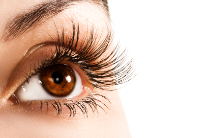 iStock_000009316462XSmall.jpg