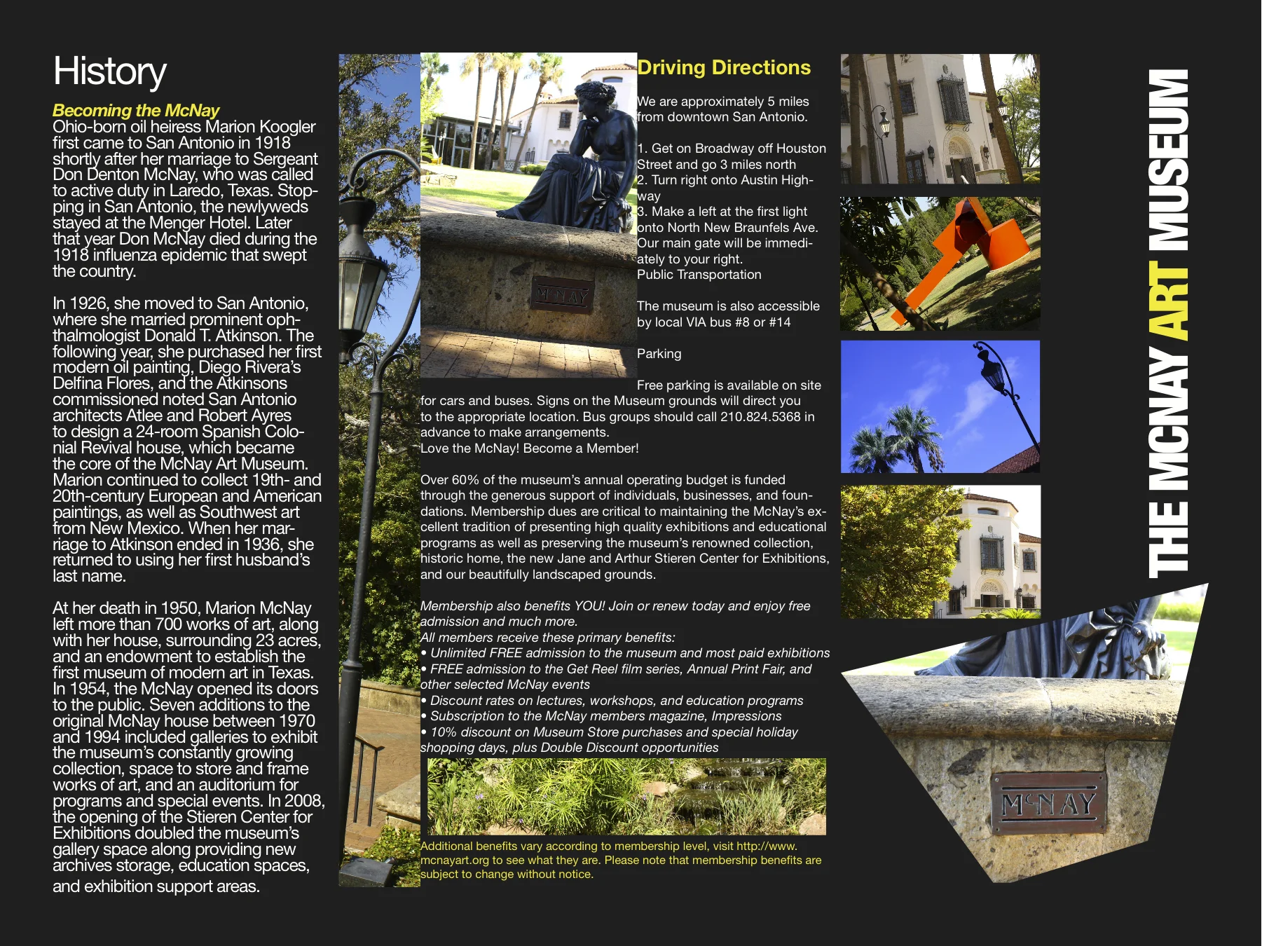 mcnay1.jpg
