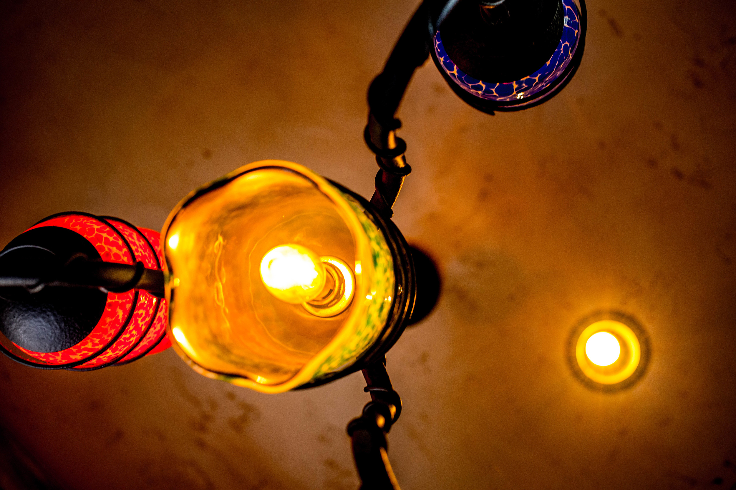 _MG_9538.jpg